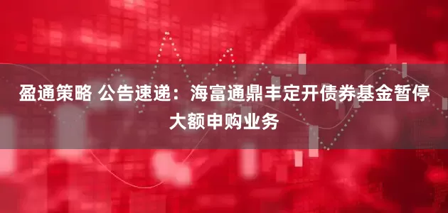 盈通策略 公告速递：海富通鼎丰定开债券基金暂停大额申购业务