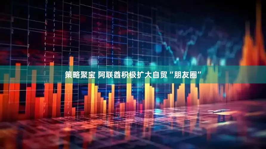 策略聚宝 阿联酋积极扩大自贸“朋友圈”