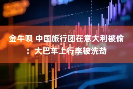 金牛呗 中国旅行团在意大利被偷：大巴车上行李被洗劫