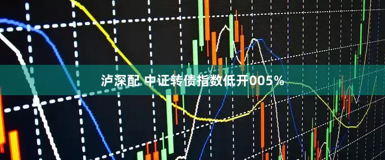 泸深配 中证转债指数低开005%